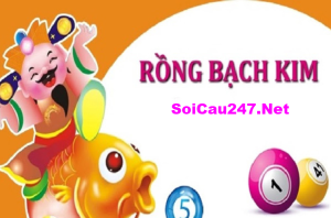 Rồng bạch kim là gì?